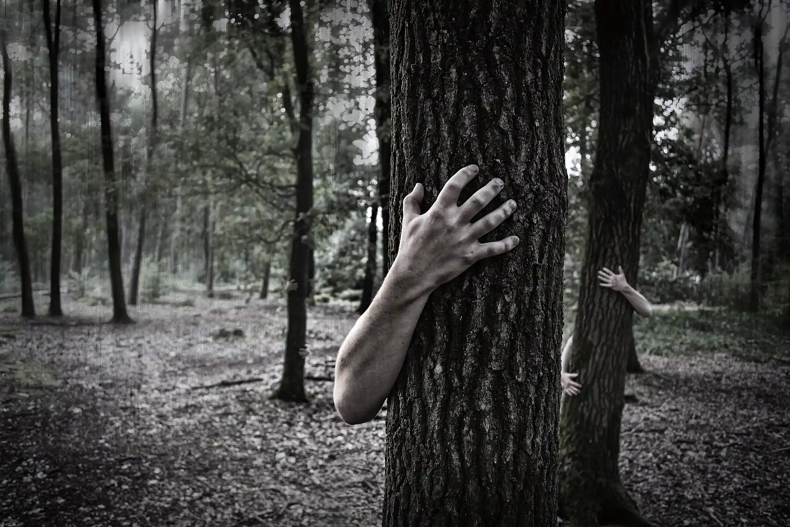 Foto de persona escondida tras un árbol protegiéndose del miedo, como imagen destacada de la entrada Origen del miedo y cómo superarlo